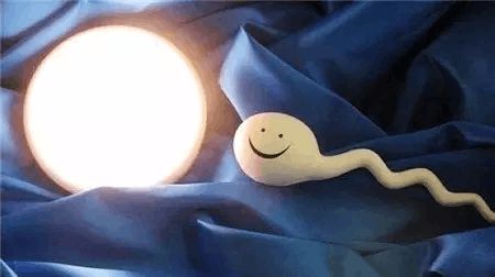 代生男孩机构